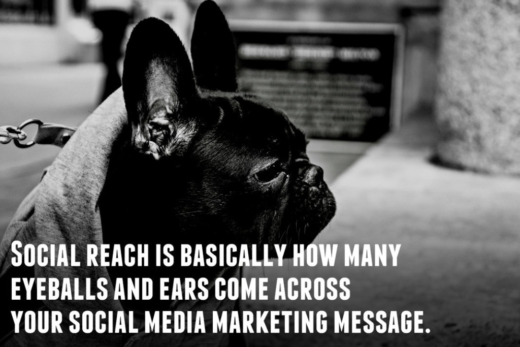 Social Reach