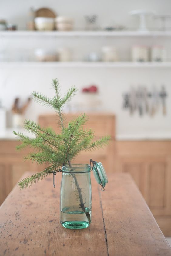 tree in jar